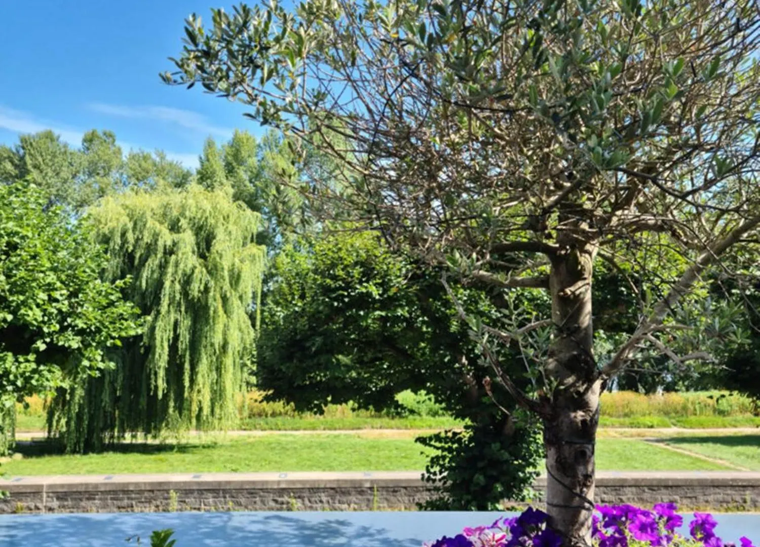 Hotel Villahotel Rheinblick Keulen