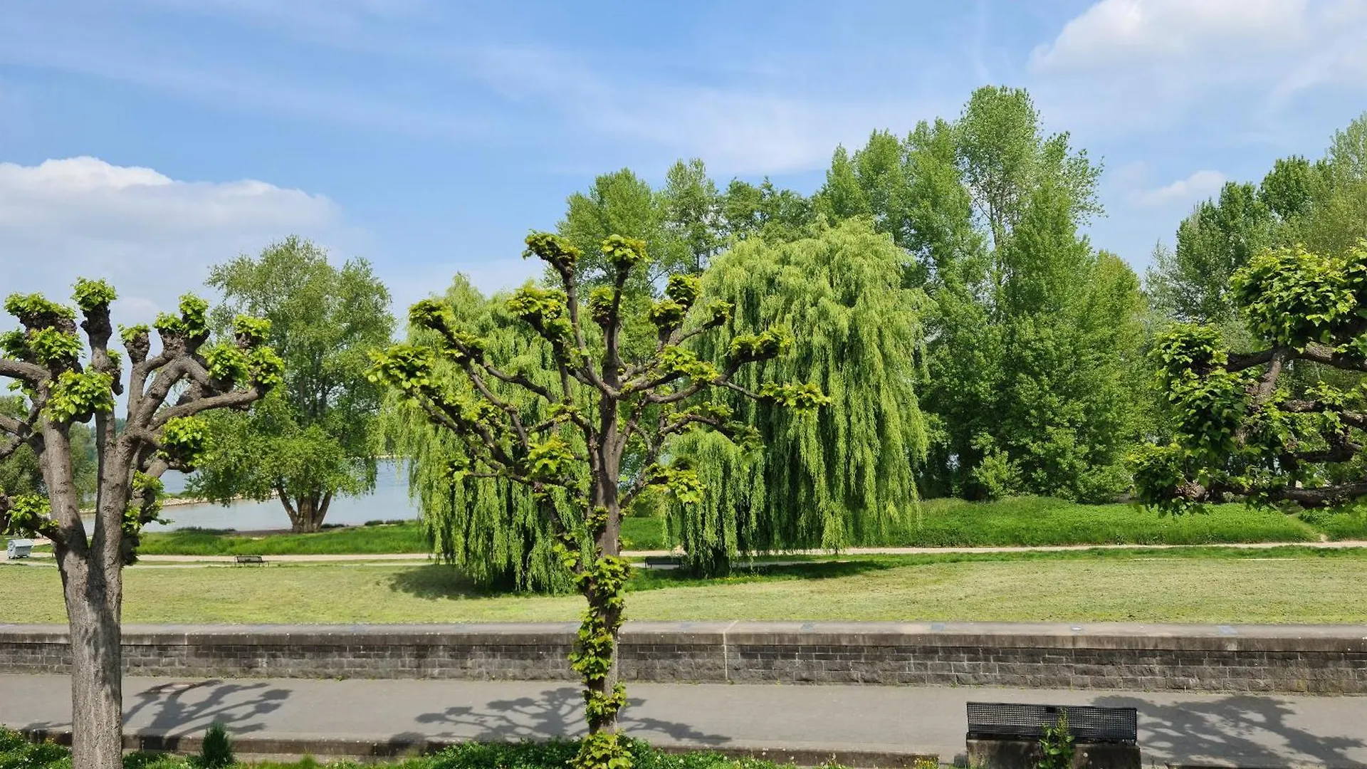 Villahotel Rheinblick Kolín nad Rýnem Německo